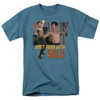 Star Trek - Don\'t Mess with Sulu