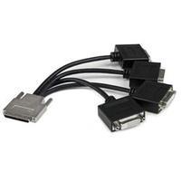 StarTech.com VHDCI to Quad DVI Splitter Breakout Cable - VHDCI (M) to 4x DVI-D (F)