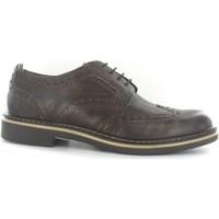 stonefly 108591 shoes with laces man brown mens casual shoes in brown