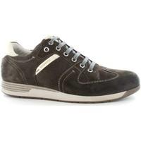 stonefly 108551 classic shoes man brown mens shoes trainers in brown