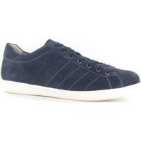 stonefly 108541 classic shoes man blue mens shoes trainers in blue