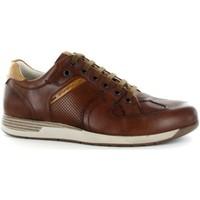 stonefly 108550 classic shoes man brown mens shoes trainers in brown