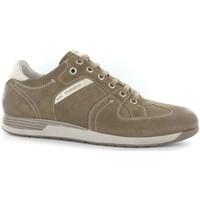 stonefly 108551 classic shoes man taupe mens shoes trainers in grey