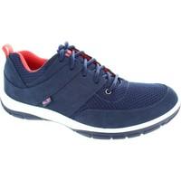 strive indiana womens shoes trainers in blue