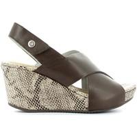 stonefly 104365 wedge sandals women brown womens sandals in brown