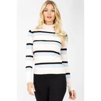 stripe rib roll neck jumper