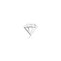Storie Silver Cut Out Crystal Charm