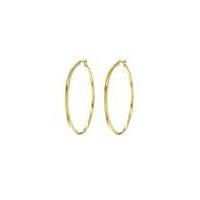 Sterling Silver Gold Plated Hoop Earring