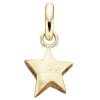 Story Gold Plated Star 5008898