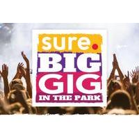 Sure Big Gig in the Park 2017