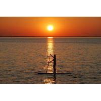 Sunset Dolphin Paddleboard Excursion on Delaware Bay