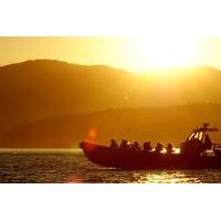 Summer Sunset Whales and Wildlife Tour in Vancouver Island