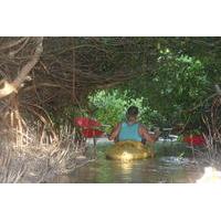 Sunset Kayaking at Mangrove Lagoon from Merida