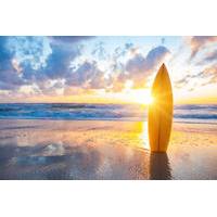 Surfboard Weekly Rental