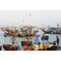 Sunrise Fish Market Tour in Hoi An