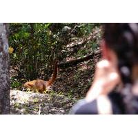 Sunrise Hike at Calakmul Biosphere Reserve