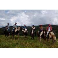 Sunset Horseback Ride