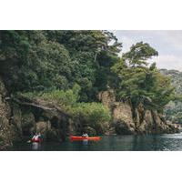Sunset Eco Kayak Tour in Portofino\'s Marine Protected Area
