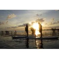 Sunset Paddleboard Tour