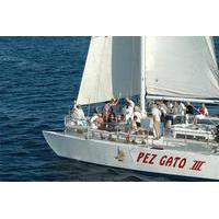 Sunset Party Cruise in Los Cabos aboard the Pez Gato