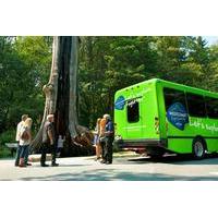 summer tour whistler and shannon falls all day tour from vancouver