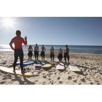 Surfing Lessons in Sydney