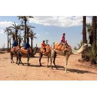 sunset camel ride tour in marrakech palms grove area