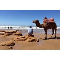 Surf Camp - 7 nights All Inclusive in Tamraght Morocco