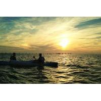 sunset dolphin kayak tours