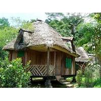 Suchipakari Jungle Lodge