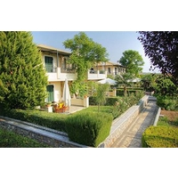 Sunny Garden