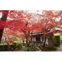 Suiran, A Luxury Collection Hote...