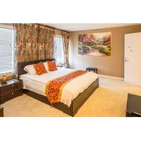 Sunny and Elegant Villa