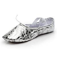 SUN LISA Non Customizable Women\'s and Kids\' Dance Shoes Ballet Yoga Flats Flat Heel Indoor Silver / Gold