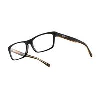 Superdry Eyeglasses SDO BLAINE 104