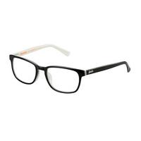 Superdry Eyeglasses SDO QUINN 104