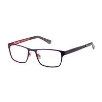 Superdry Eyeglasses SDO CEDAR 010