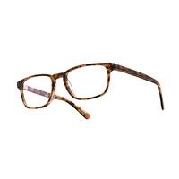 Superdry Eyeglasses SDO LINCOLN 103