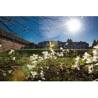 Summer One Night Spa Deluxe