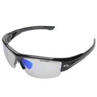 Sunwise Wellington Sunglasses