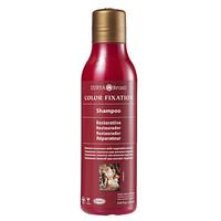 Surya Brasil Colour Fixation Restorative Shampoo