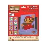 Super Mario Bros Pixel Craft Character (pp2924nn)