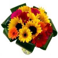 sunflower and germini bouquet