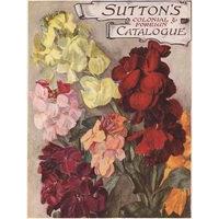 Sutton\'s Colonial and Foreign Catalogue - 1000 Piece Jigsaw Puzzle