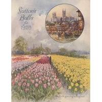 Sutton\'s English Bulbs 1928 Jigsaw Puzzle