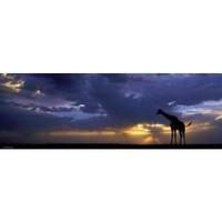 Sunset, Panorama - Marsel Van Oosten 1000 Piece Jigsaw Puzzle