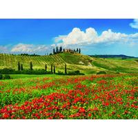 Summer in Tuscany 500 Piece Jigsaw Puzzle