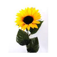 Sunflower Stem 50 cm
