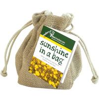 Sunshine in a Bag