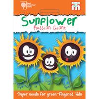 Sunflower \'Russian Giant\' - RHS endorsed seeds for children - 1 packet (25 sunflower seeds)